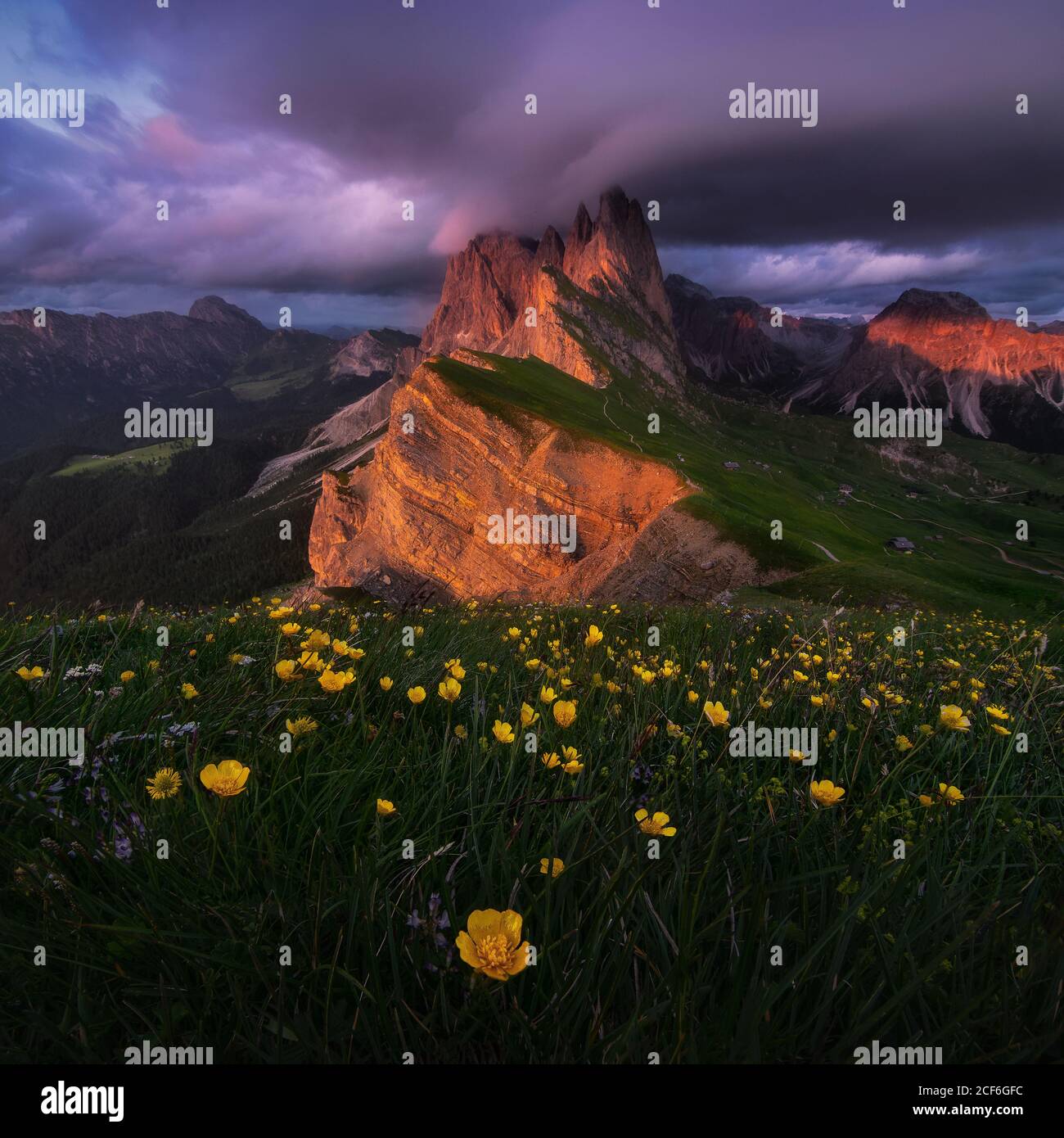 Vues spectaculaires sur les Dolomites Seceda en Italie Banque D'Images