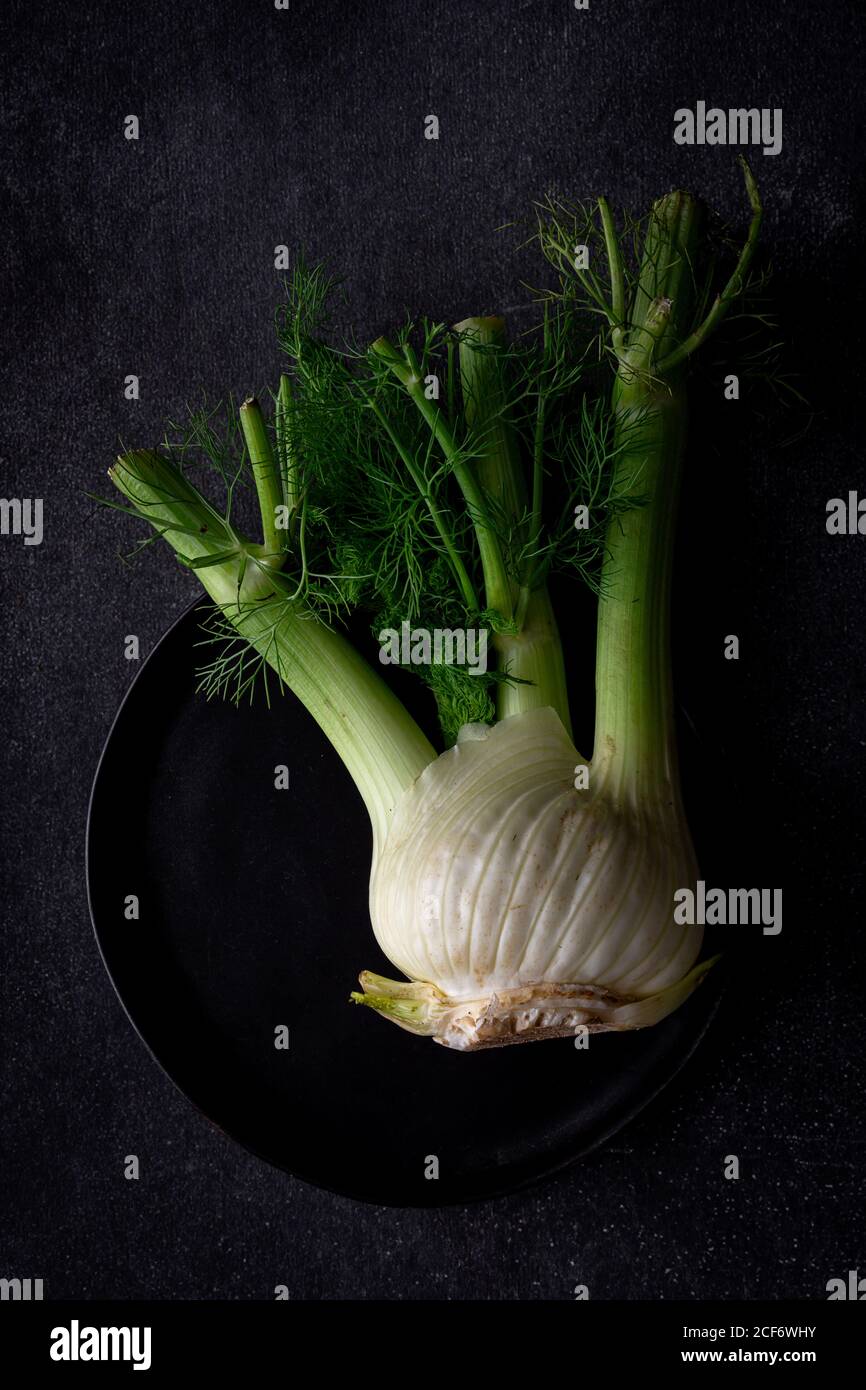 De dessus bio fenouil frais sain et cru alimentation saine Banque D'Images