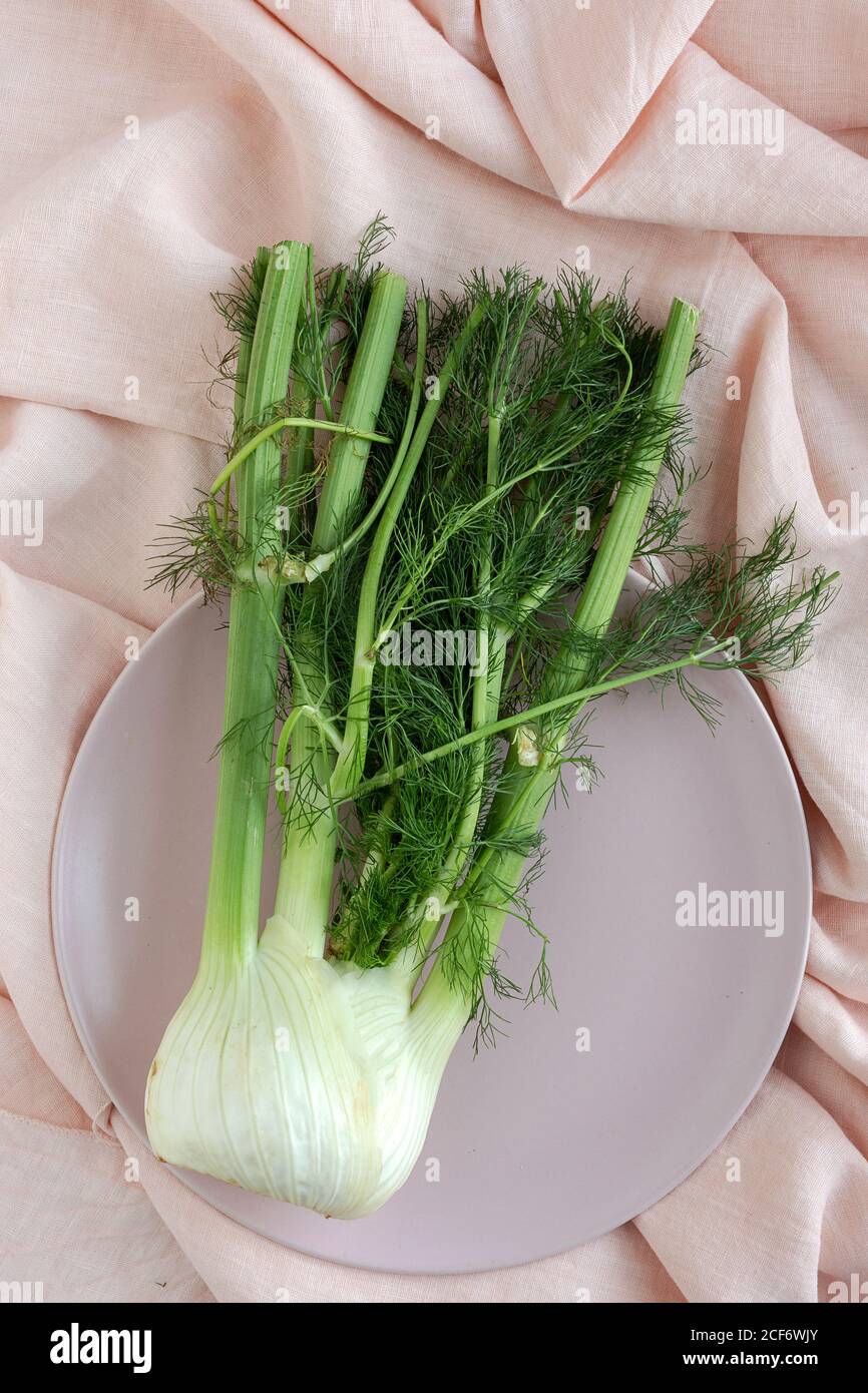 De dessus bio fenouil frais sain et cru alimentation saine Banque D'Images