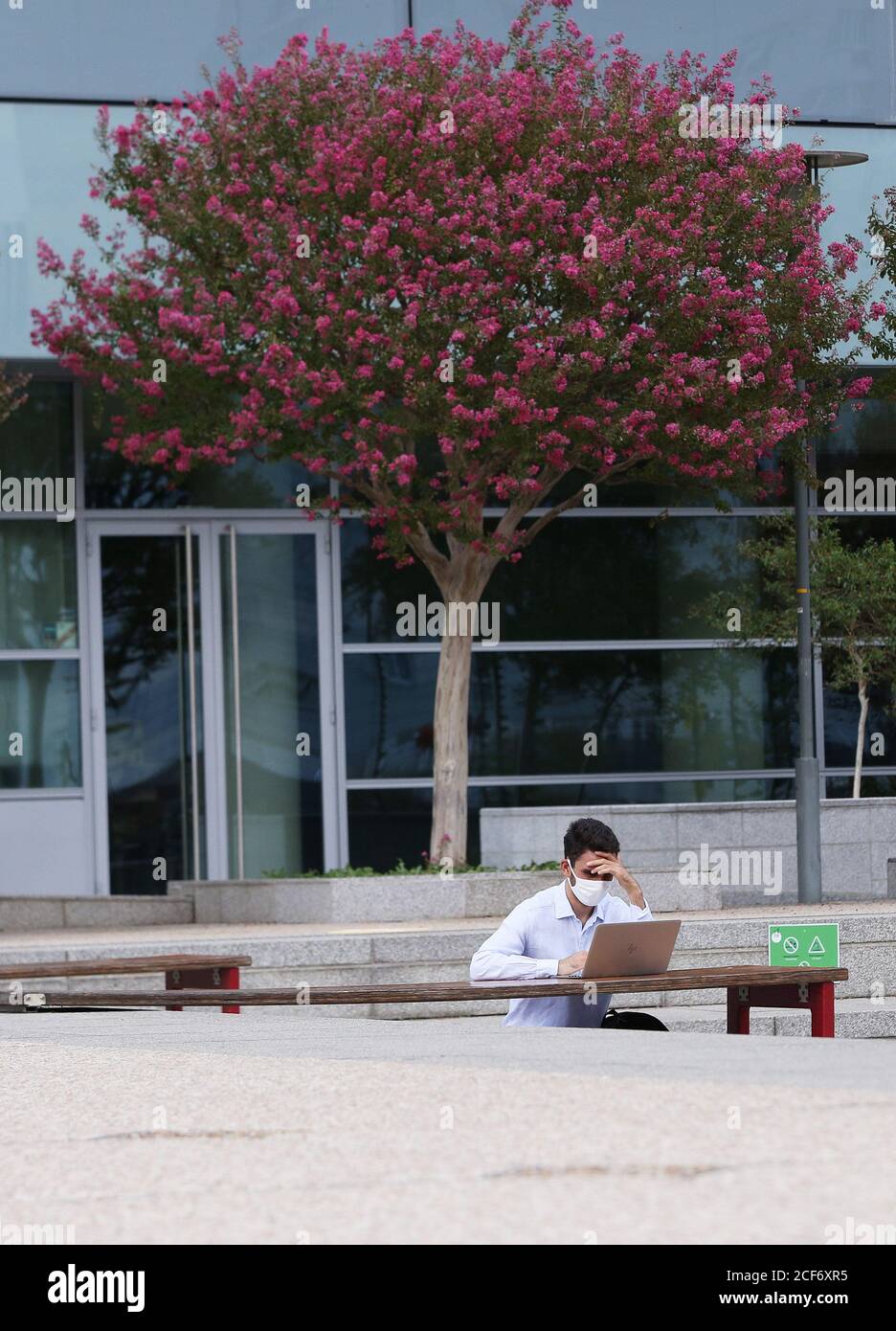(200904) -- PARIS, le 4 septembre 2020 (Xinhua) -- UN homme portant un masque travaille sur son ordinateur portable dans le quartier d'affaires de la Défense près de Paris, France, le 3 septembre 2020. Le gouvernement français entend mobiliser 100 milliards d'euros (118 milliards de dollars US) dans un plan de redressement de taille historique pour aider le pays à se remettre de la crise pandémique du coronavirus, a annoncé jeudi le Premier ministre Jean Castex. La transition écologique, la compétitivité et la cohésion sociale ont été identifiées comme les trois piliers du plan surnommé « France relance », qui selon Castex était « le plus massif annoncé à ce jour parmi les principaux europ Banque D'Images
