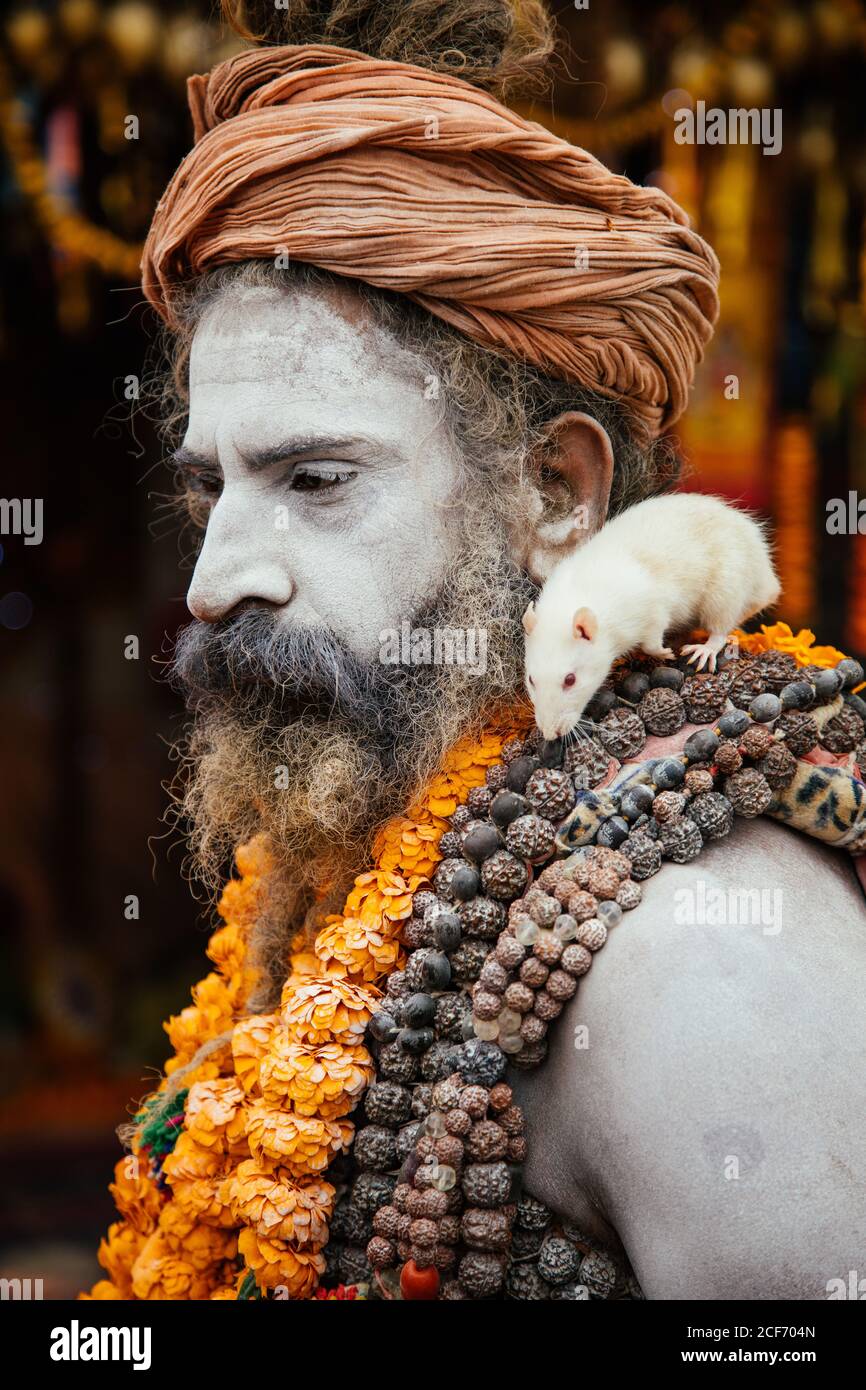 Allahabad City, Inde - FÉVRIER, 2018: Vue latérale de l'Hindou sadhu portant un turban de couleur ocre et des colliers colorés avec une souris blanche sur l'épaule sur le festival Prayag Kumbh Mela Banque D'Images