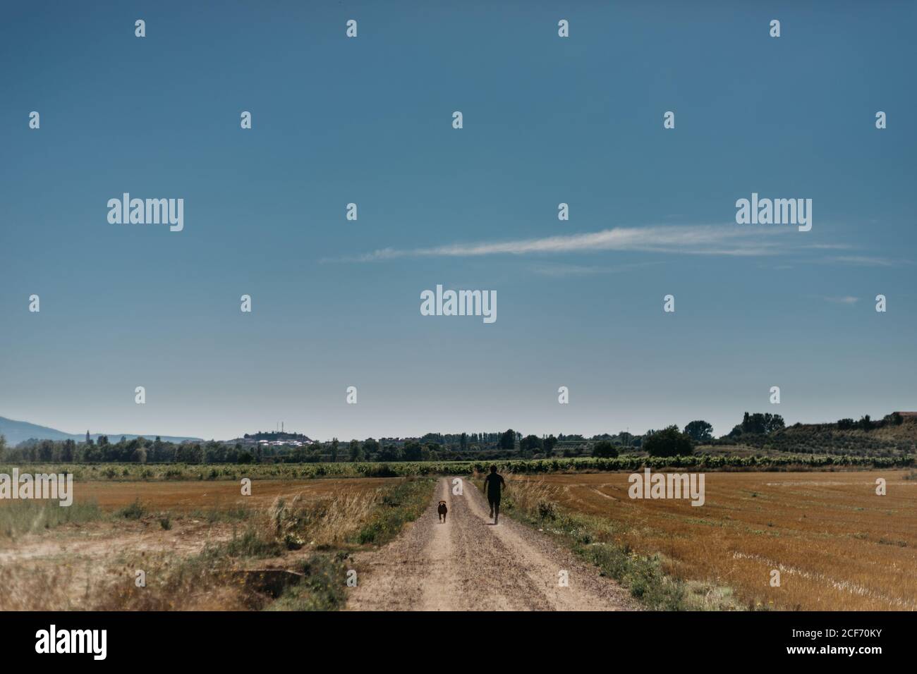 Vue arrière d'un homme qui court sur une route vide avec son chien parmi les champs verts avec ciel bleu clair sur l'arrière-plan à campagne Banque D'Images