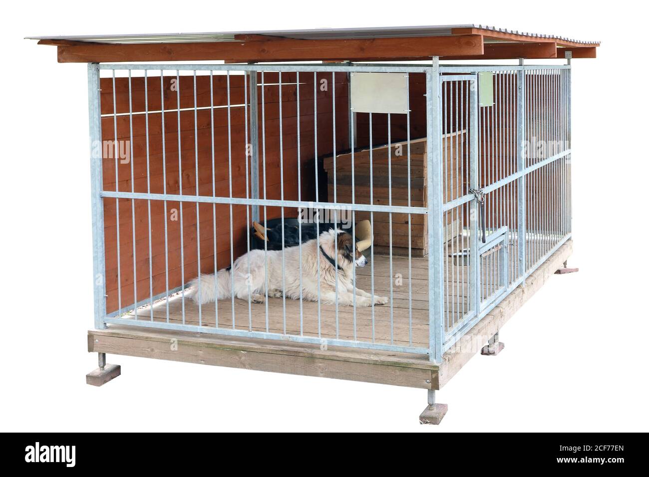 Un chien solitaire âgé vit dans une grande cage en acier. Prise de vue d'une journée ensoleillée Outsoor Banque D'Images