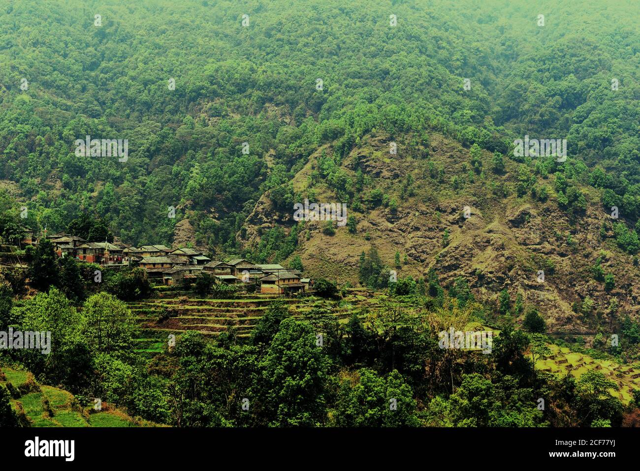 Sur la pente de Panchase Mountain se trouve Sidhane village agricole où la communauté gère également l'écotourisme. Sidhane, Gandaki Pradesh, Népal. Banque D'Images