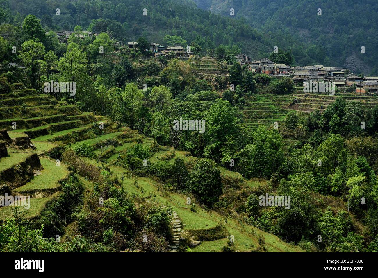 Sur la pente de Panchase Mountain se trouve Sidhane village agricole où la communauté gère également l'écotourisme. Province de Gandaki Pradesh, Népal. Banque D'Images