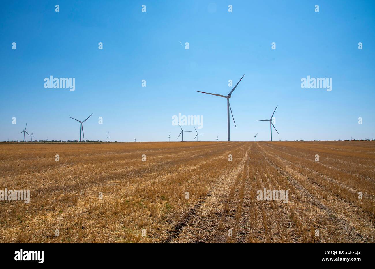 De nombreuses éoliennes se trouvent dans un champ de mouwn contre un ciel bleu. Banque D'Images