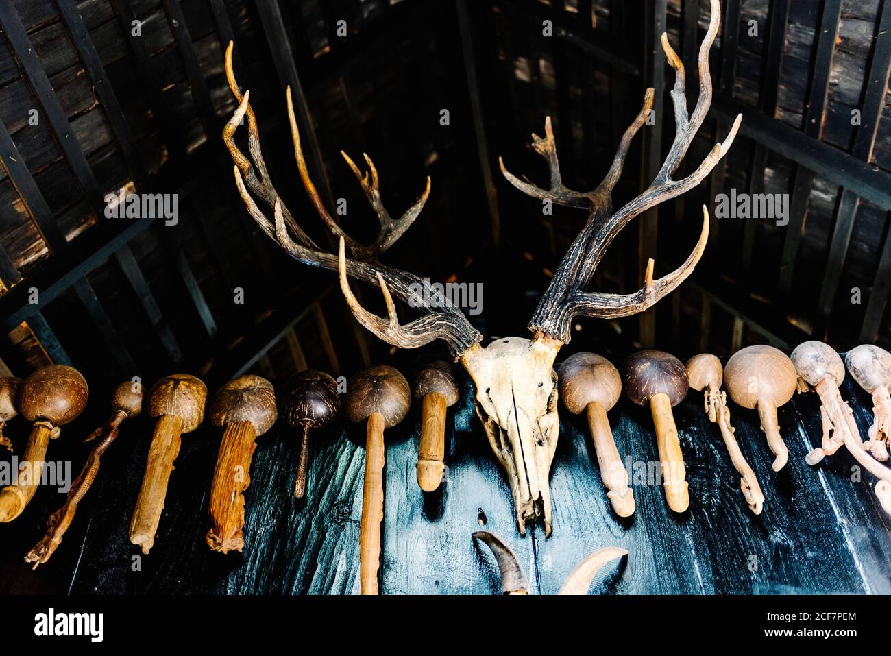 Du dessous du crâne du cerf avec de grandes cornes et parties de corps en bois d'animaux suspendus sur le toit dans l'obscurité chambre Banque D'Images