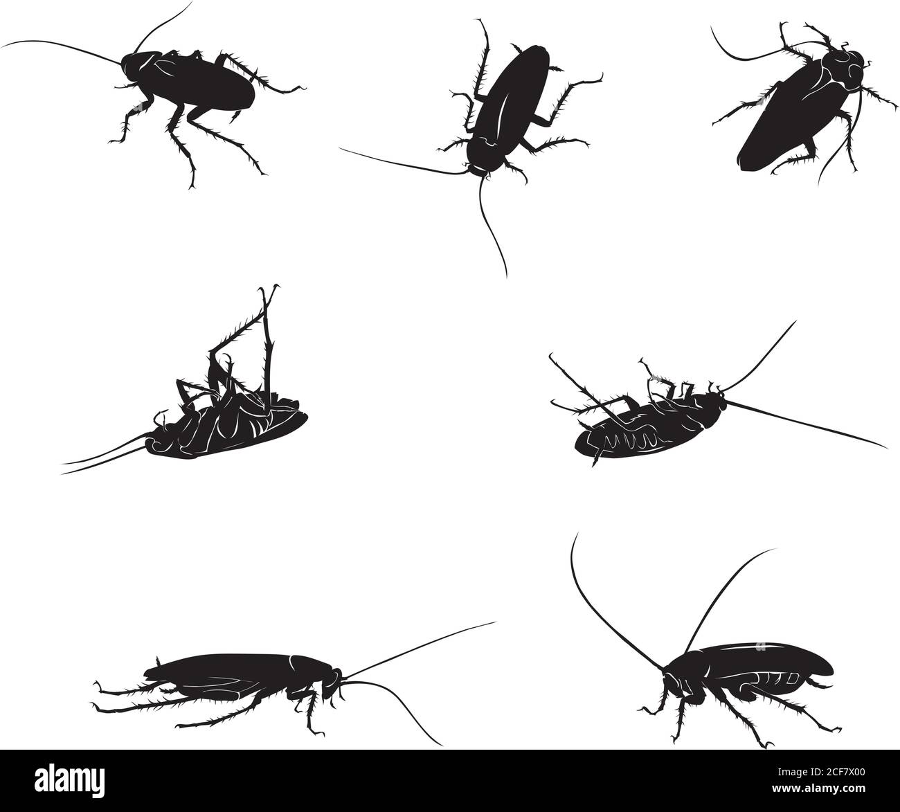 dessin d'un cafard noir, silhouettes isolées, cafard, arthropode, insecte, isolé, silhouette, noir, blanc, vecteur, dessin, dessin, dessin, dessin Illustration de Vecteur