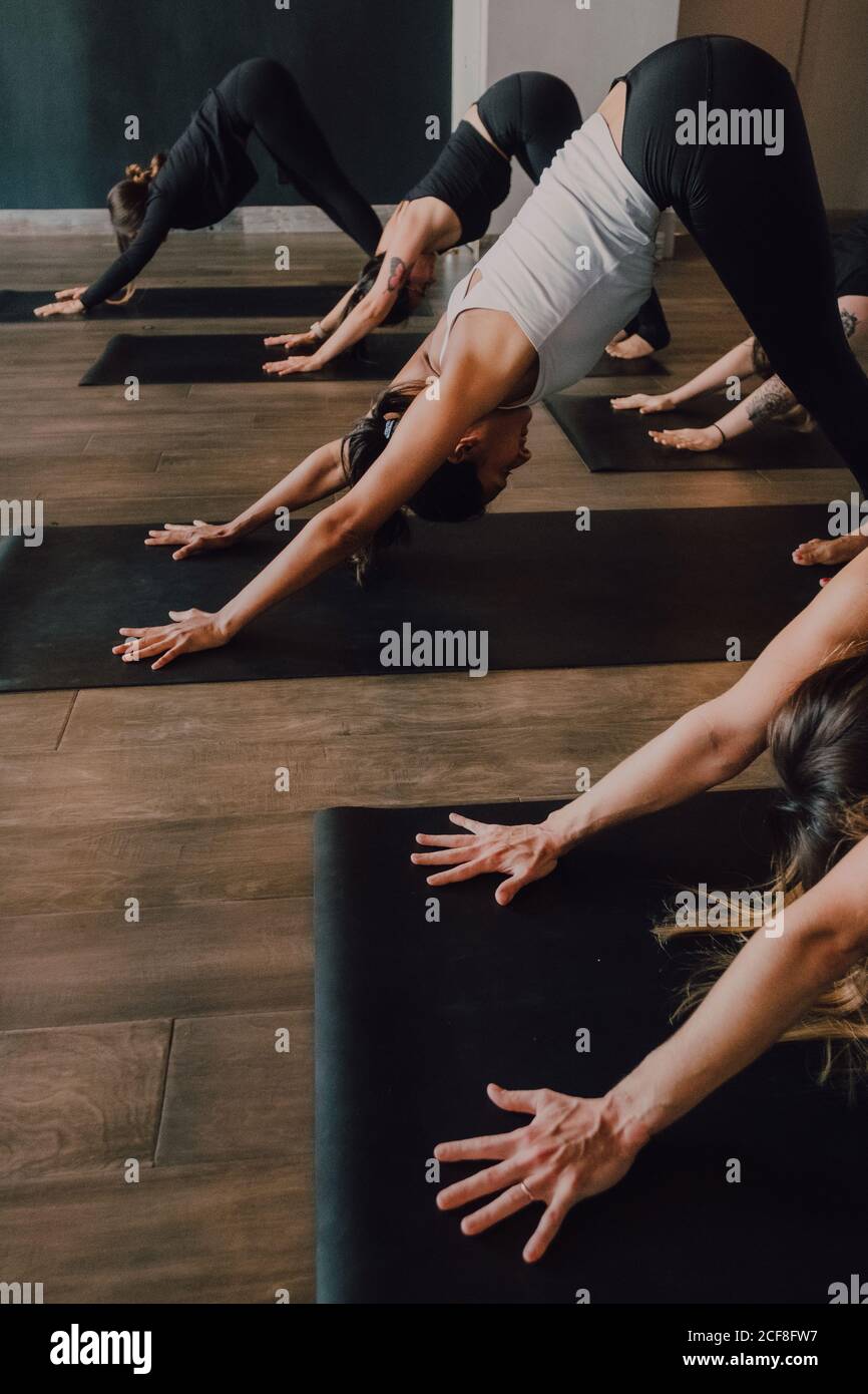 Vue latérale de la tenue pieds nus femmes non reconnaissables dans les vêtements de sport se concentrant et faire un exercice de chien vers le bas sur les tapis de sport parquet contre murs blancs du hall spacieux Banque D'Images