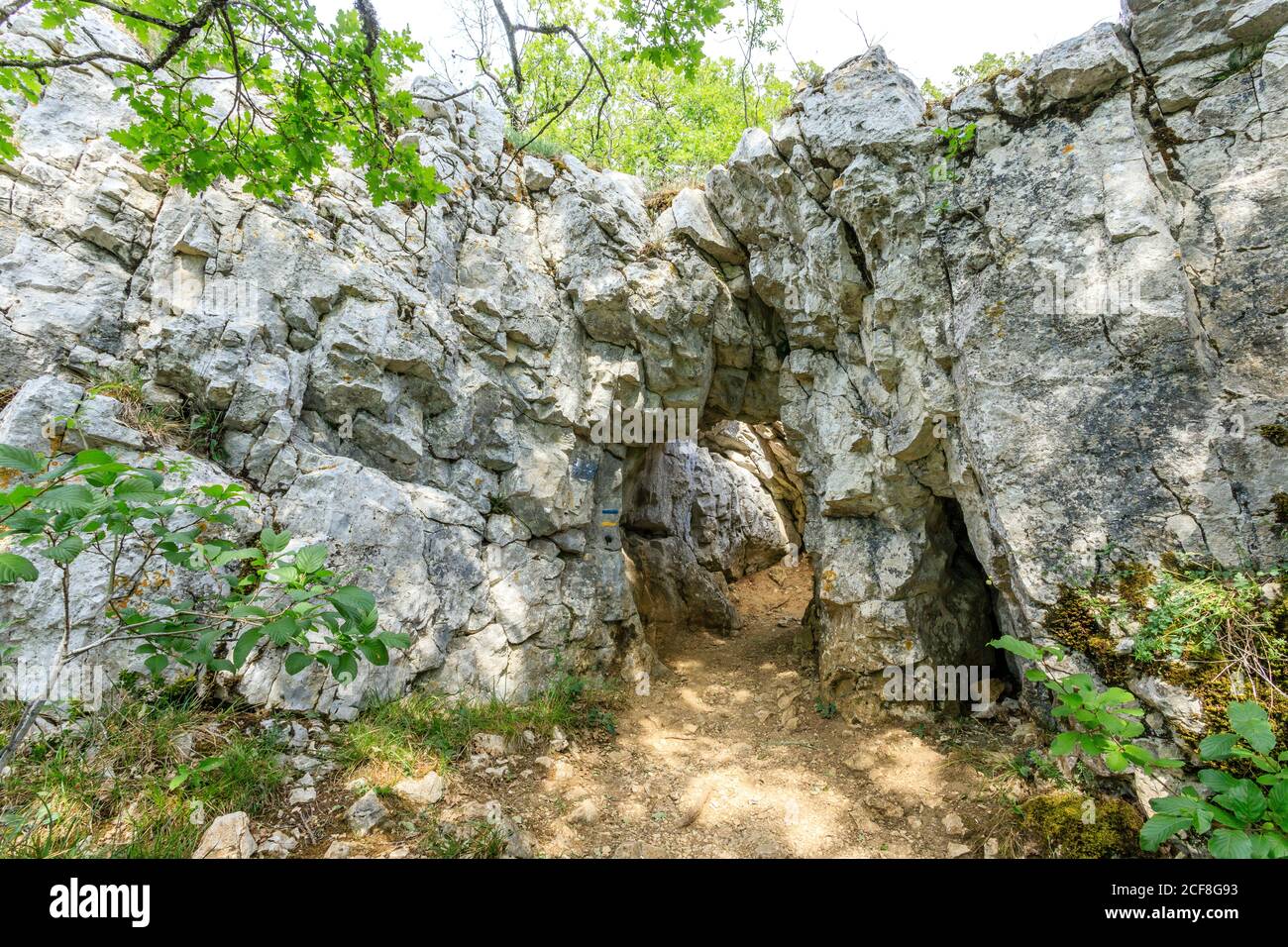 France, Côte d’Or, Réserve naturelle régionale de Val Suzon, Messigny et Vantoux, Foret Domaniale de Val Suzon, sentier de randonnée vers les grottes des Celerons // Franc Banque D'Images France, Côte d’Or, Réserve naturelle régionale de Val Suzon, Messigny et Vantoux, Foret Domaniale de Val Suzon, sentier de randonnée vers les grottes des Celerons // Franc Banque D'Images