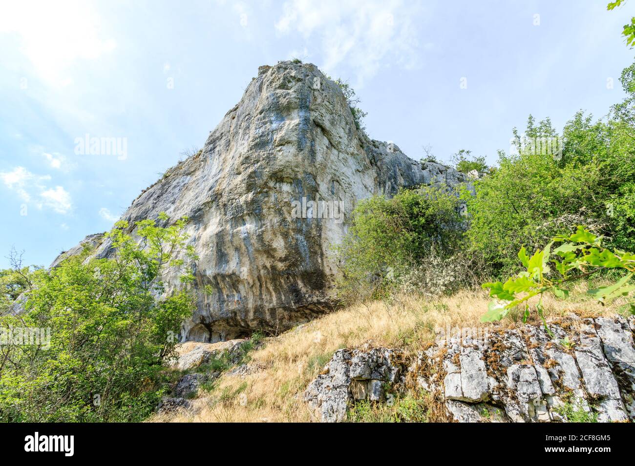France, Côte d'Or, Réserve naturelle régionale du Val Suzon, Messigny et Vantoux, Foret Domaniale de Val Suzon, Rocher du Bouton d'Or, Bouton d'Or // Banque D'Images France, Côte d'Or, Réserve naturelle régionale du Val Suzon, Messigny et Vantoux, Foret Domaniale de Val Suzon, Rocher du Bouton d'Or, Bouton d'Or // Banque D'Images