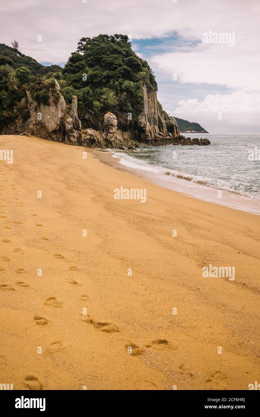 Paysage de plage de sable vide et forêt verte à Pancake Rochers en Nouvelle-Zélande Banque D'Images