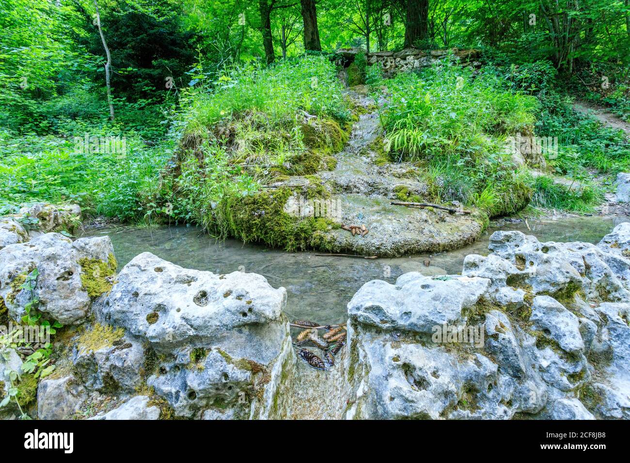 France, Côte d’Or, Réserve naturelle régionale du Val Suzon, Etaules, Foret Domaniale de Val Suzon, Parc Jouvence, Fontaine de Jouvence // France, Côte Banque D'Images France, Côte d’Or, Réserve naturelle régionale du Val Suzon, Etaules, Foret Domaniale de Val Suzon, Parc Jouvence, Fontaine de Jouvence // France, Côte Banque D'Images