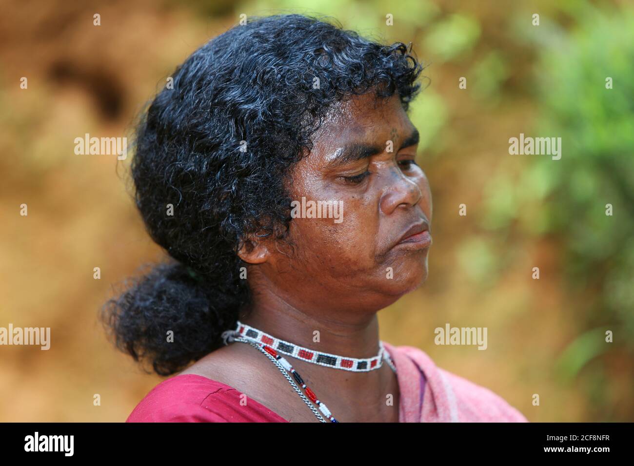 TRIBU PANIYAN, portrait de femme tribale, village de Chulliyod, colonie de Vannathara, Kerala, Inde Banque D'Images