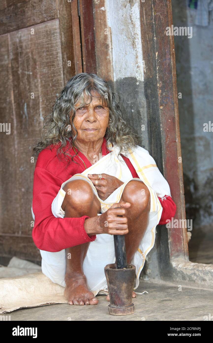 Tribu PANIYAN, ancienne femme tribale utilisant le pilon et Mortar -Chulliyod Village, Kottayil, Kerala, Inde Banque D'Images