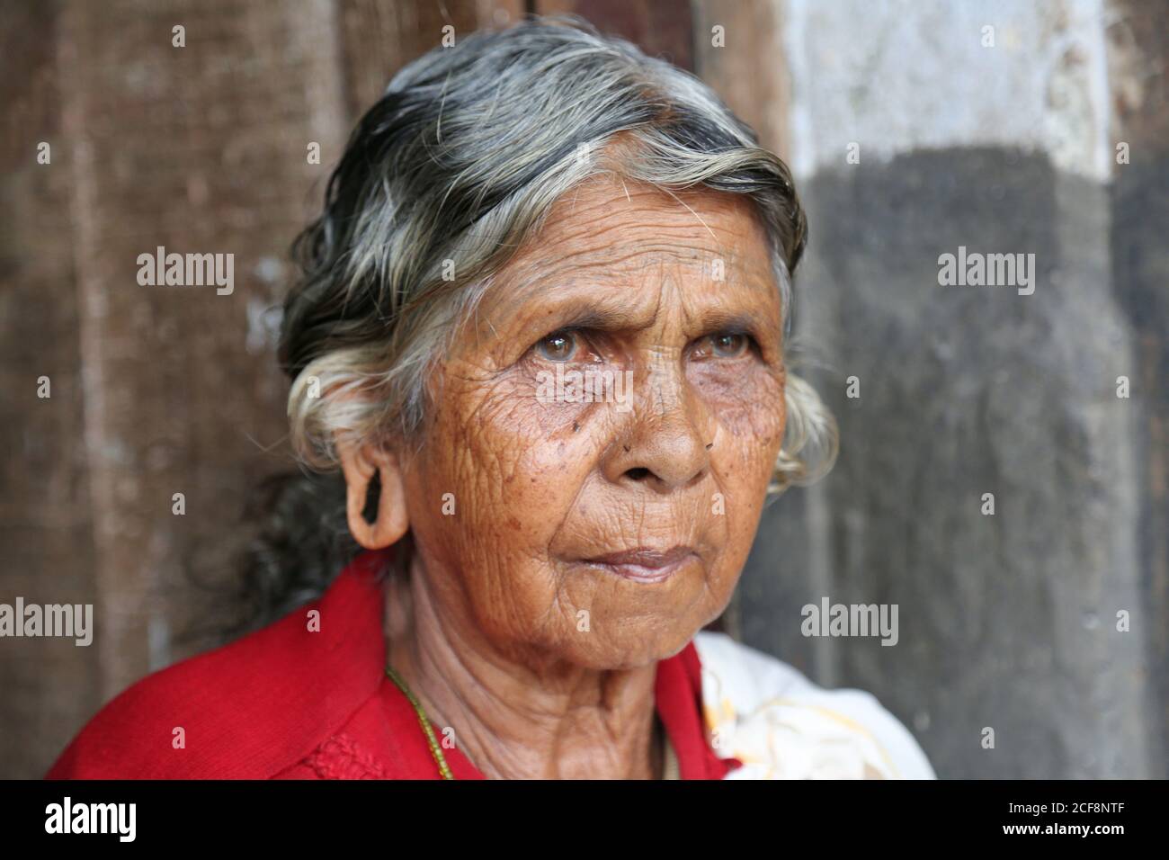 Tribu PANIYAN, portrait tribal d'une ancienne femme au village de Chulliyod, Kottayil, Kerala, Inde Banque D'Images