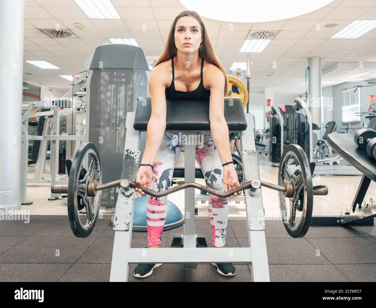 Femme forte faisant des boucles biceps sur barbell sur le banc dans la salle de gym Banque D'Images