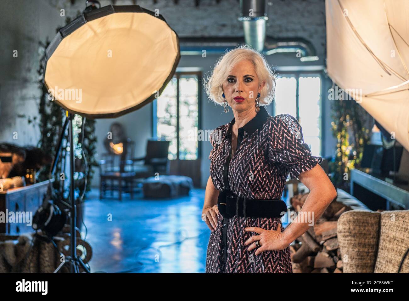 Actrice à cheveux gris pensive dans une position élégante à côté de la boîte souple et regarder la caméra pendant la pause dans le travail contre flou intérieur d'un studio contemporain confortable Banque D'Images