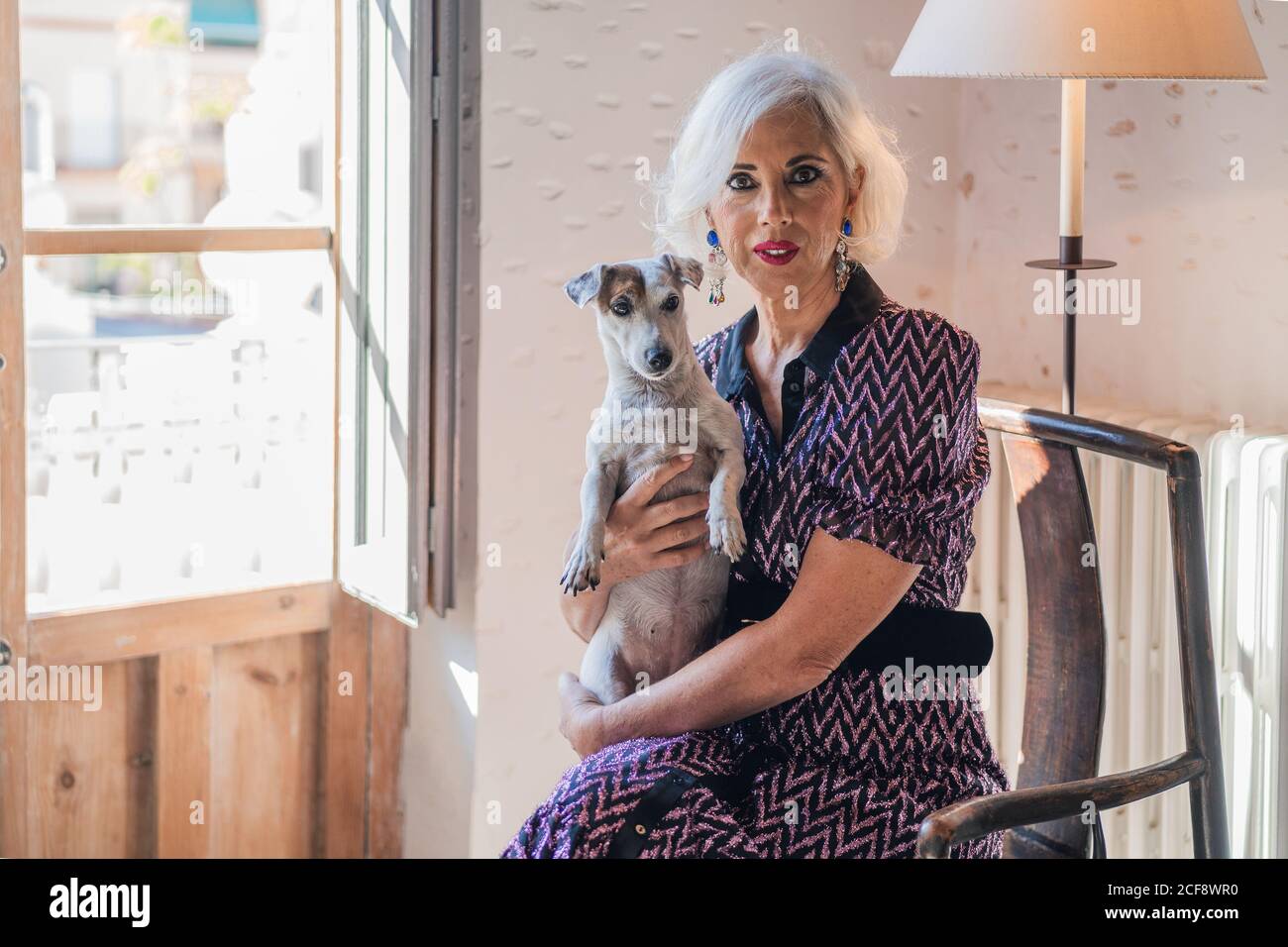 Femme aux cheveux gris pensive en robe élégante avec obéissant petit Jack Russell Terrier chien assis dans un fauteuil en bois vintage et regarder l'appareil photo contre un intérieur rustique et lumineux Banque D'Images