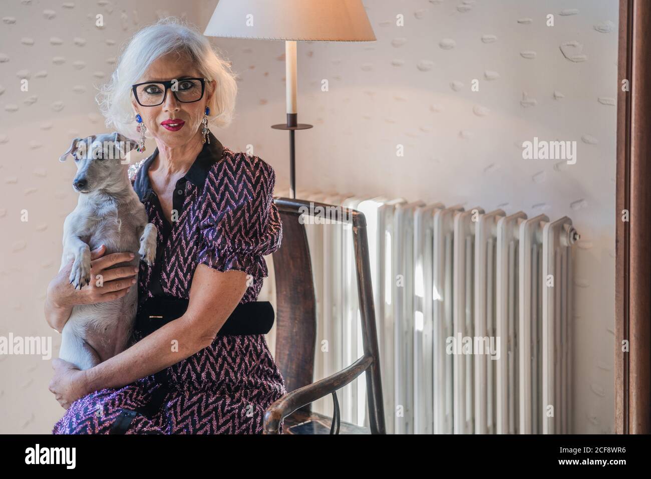 Femme aux cheveux gris pensive en robe élégante avec obéissant petit Jack Russell Terrier chien assis dans un fauteuil en bois vintage et regarder l'appareil photo contre un intérieur rustique et lumineux Banque D'Images