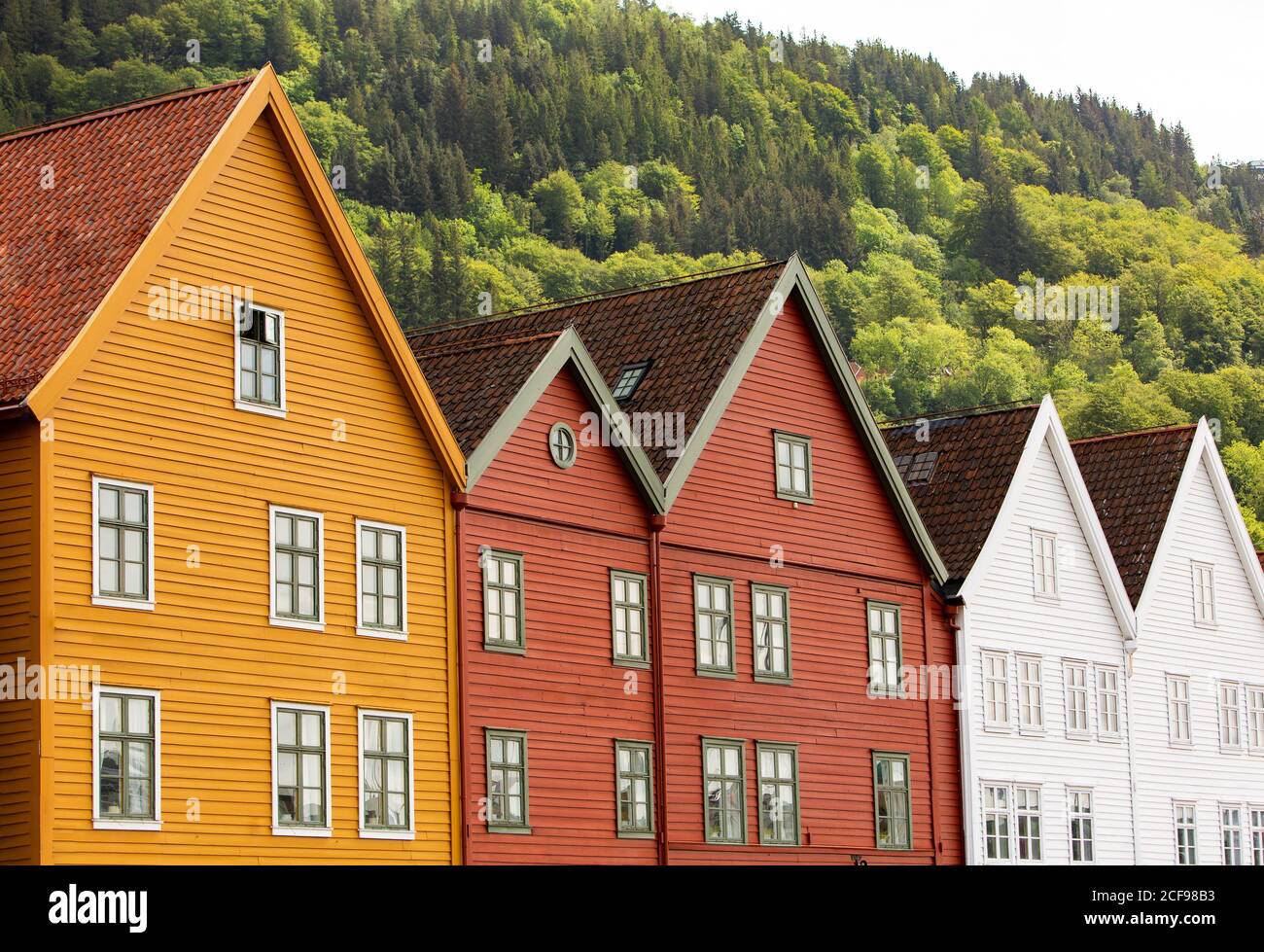 Extérieur de maisons de ville résidentielles basses colorées construites en rangée contre la colline couverte d'arbres verts dans la journée d'été banlieues Banque D'Images