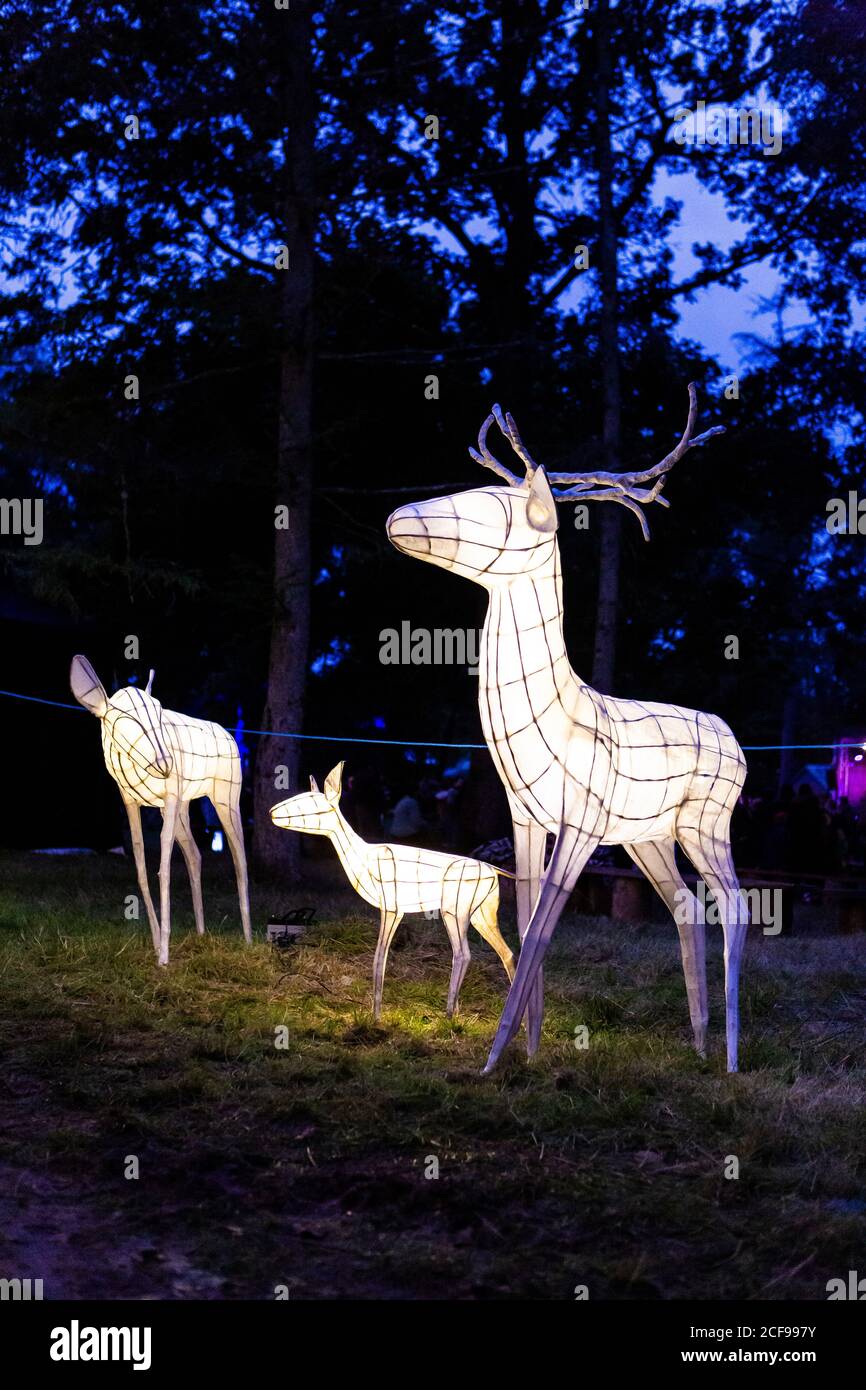 Les illuminations des bois chez nous ne sont pas un festival socialement distancé Événement à Pippingford Park - camping avec une ambiance de festival Banque D'Images