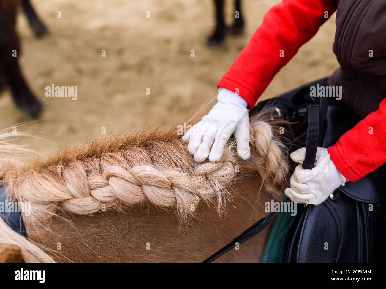 D'en haut, un enfant anonyme en costume jockey et des gants se touchant vous vous êtes fait une bravoure tout en faisant du poney dans l'arène pendant votre entraînement école équestre Banque D'Images