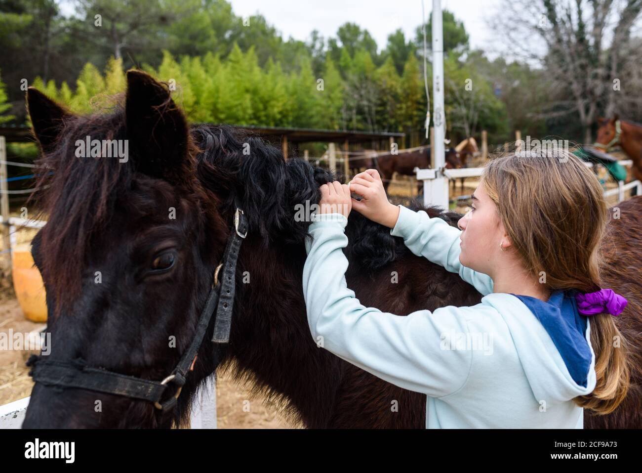 Adolescente aux mains manucurées braiding noir de la baie cheval tout en passant du temps sur le ranch Banque D'Images