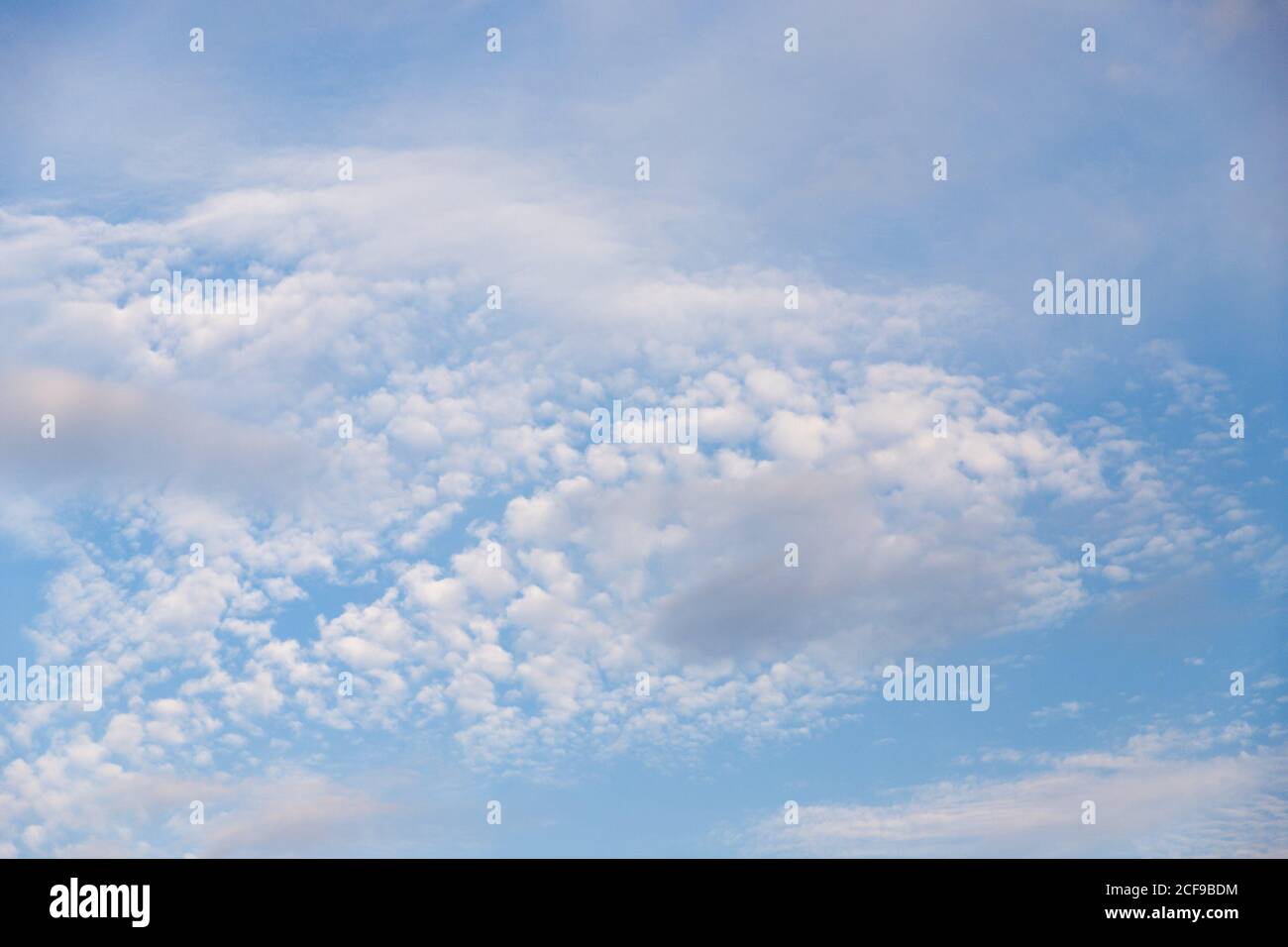 Les nuages de Cirrocumulus dans le fond bleu clair du ciel Banque D'Images Les nuages de Cirrocumulus dans le fond bleu clair du ciel Banque D'Images