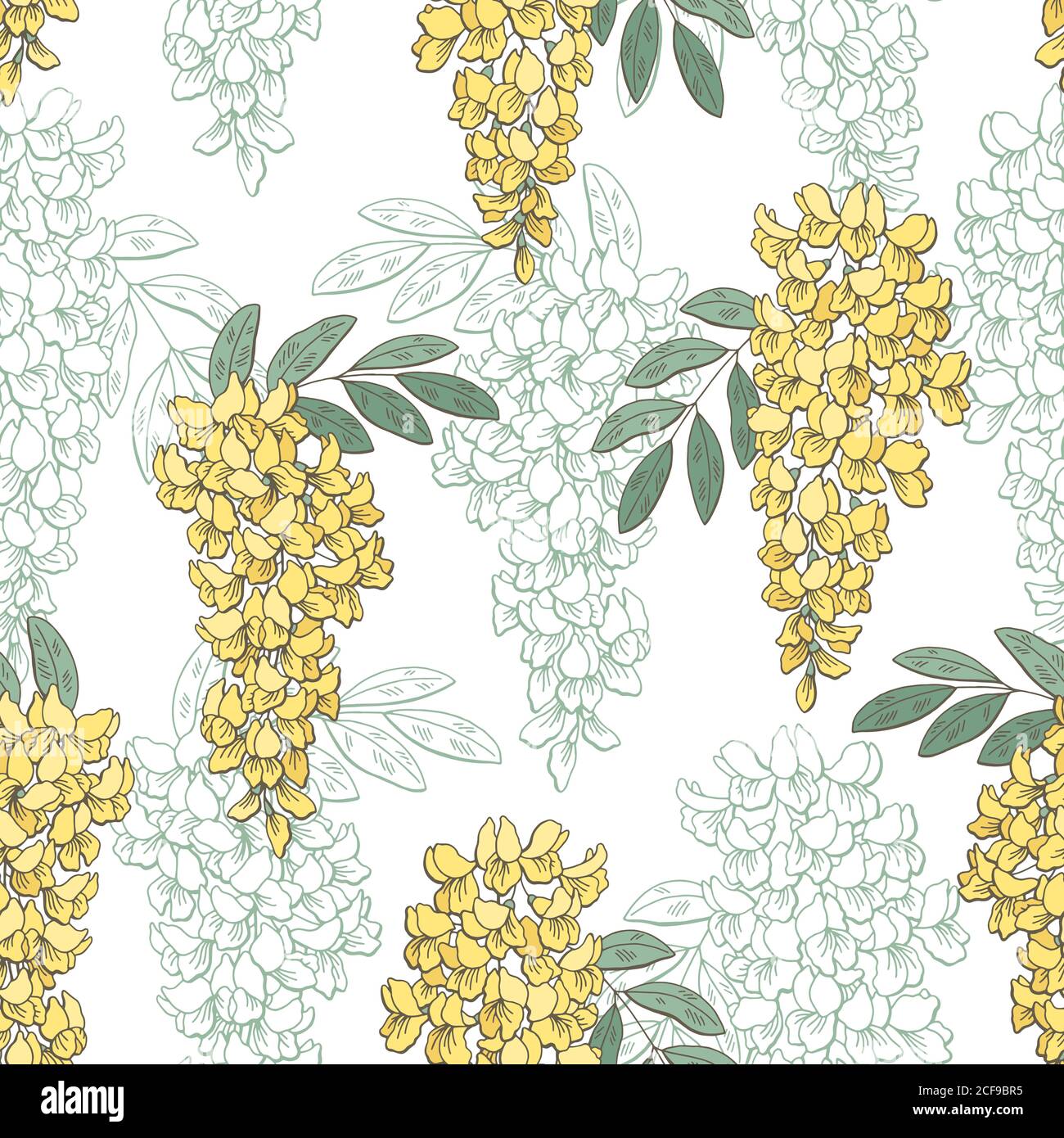 Motif de fleurs en acacia sans couture dessin illustration vectorielle Illustration de Vecteur