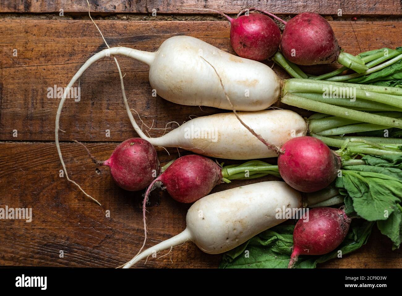 Vue de dessus d'un tas de radis rouges frais sales et daikon avec feuilles vertes sur table rustique en bois de planche Banque D'Images