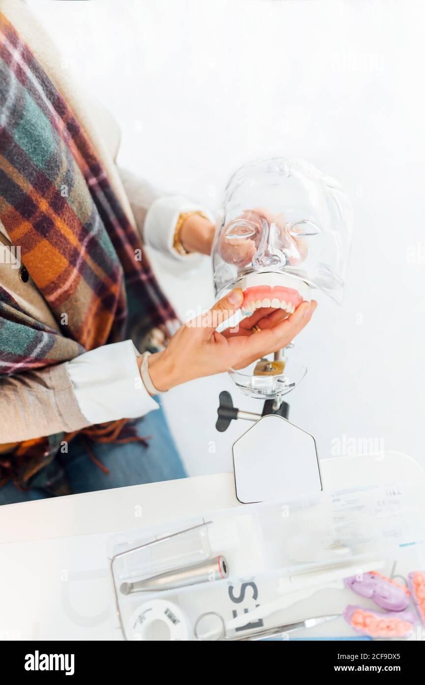 Anatomie dentaire les mains de l'étudiant travaillant en plastique tête humaine Banque D'Images