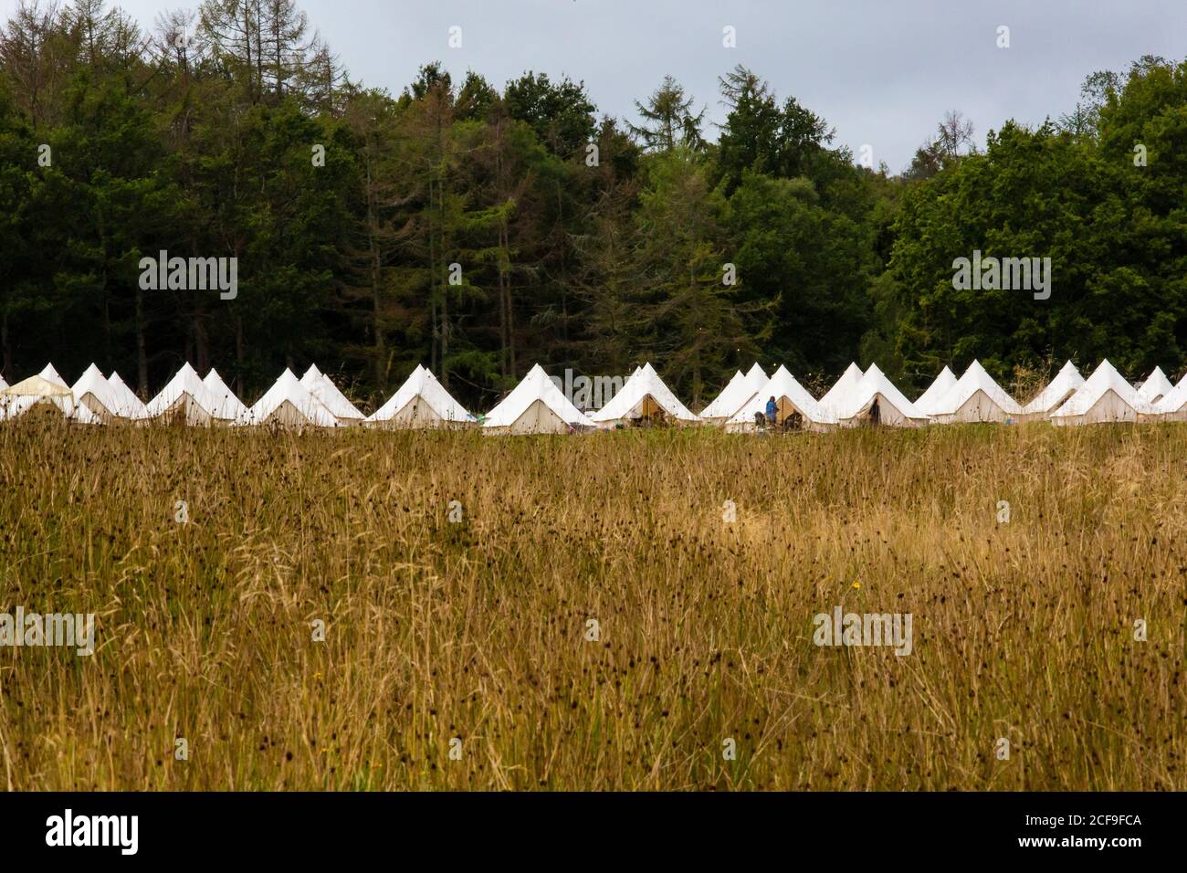 Le champ de glamping de tente de cloche à nous ne sont pas un Festival socialement distancé événement dans le parc de Pippingford - camping avec une vibe de festival Banque D'Images