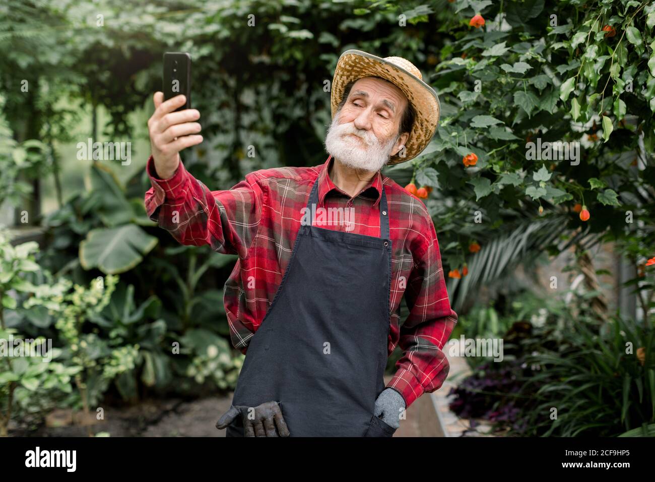 Portrait d'un bel homme joyeux des années 60, barbu, jardinier, portant une  chemise à carreaux, un tablier et un chapeau de paille, debout dans une  belle orangerie et s'amuser Photo Stock -