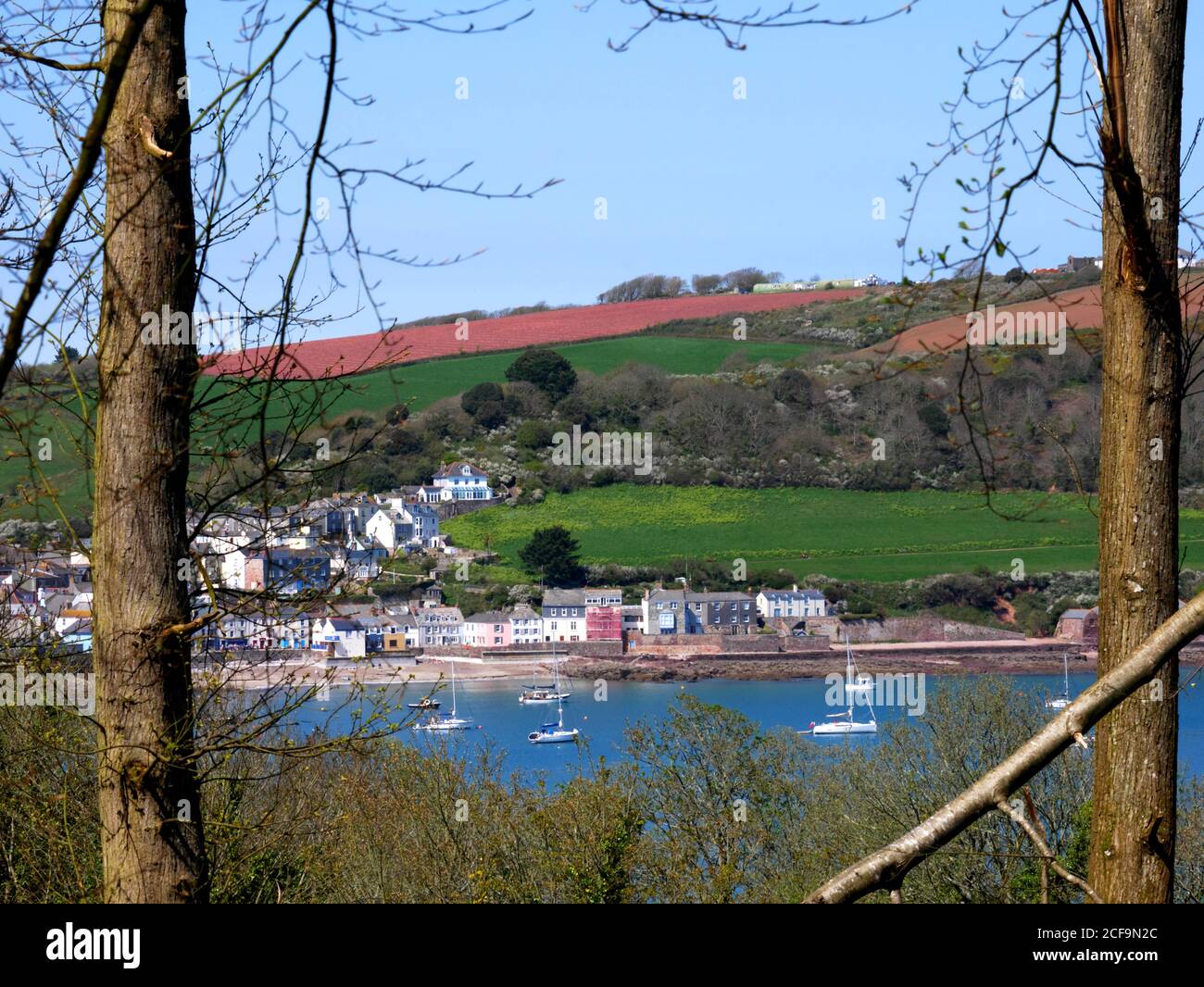 Kingsand dans le sud-est de Cornwall, encadré par des arbres. Banque D'Images