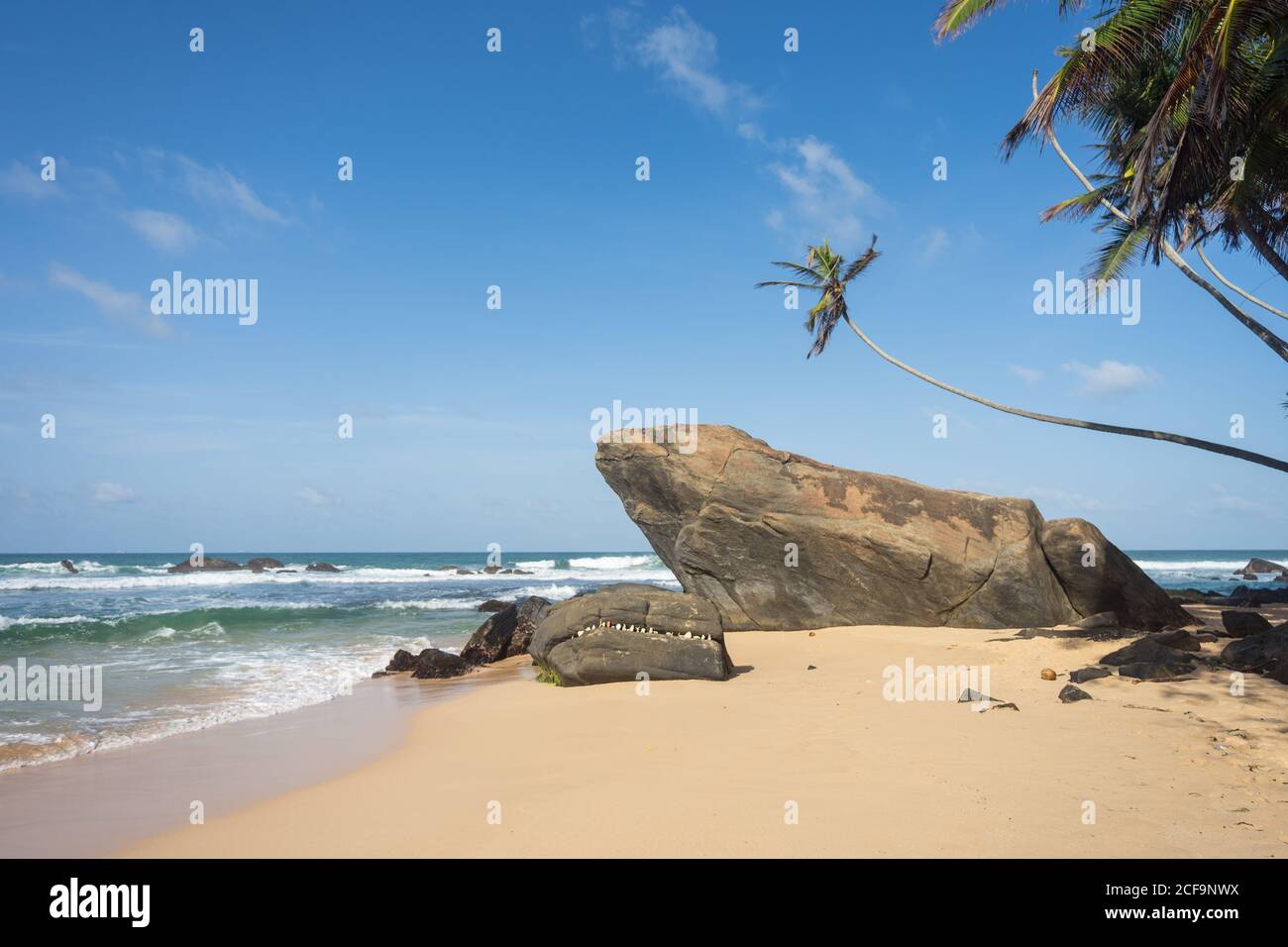 Paysage idyllique de plage de sable Banque D'Images