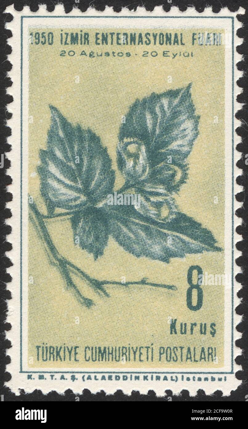 République de Turquie. Timbre-poste de la République de Turquie. Timbre historique de la République de Turquie. Un timbre-poste imprimé en République de Turquie. Banque D'Images