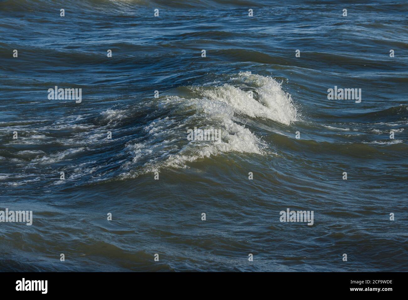 Vagues de la calotte blanche sur le lac Ontario Banque D'Images