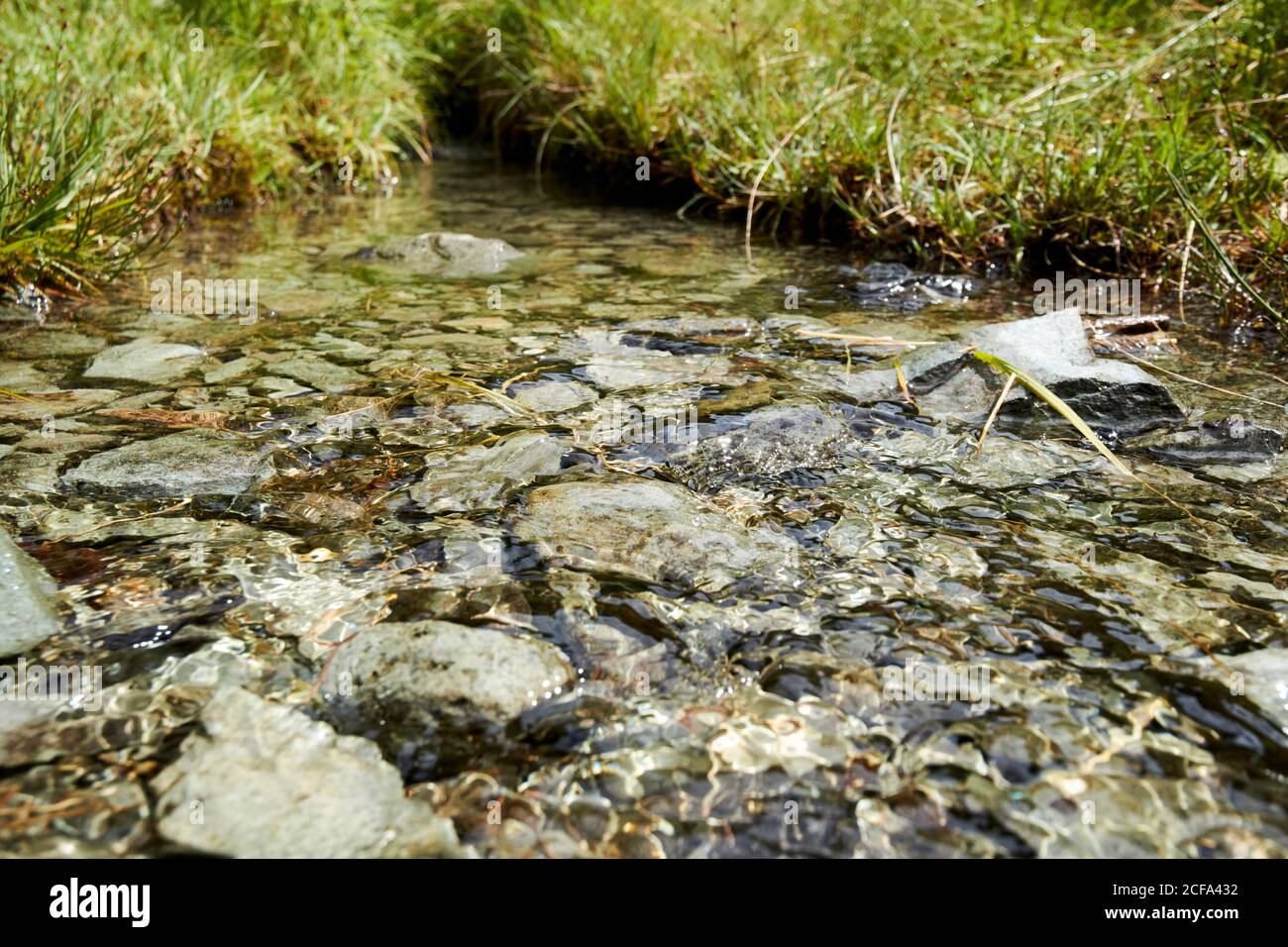 roches d'ardoise gris vert dans le lit d'un petit ruisseau descendant vers loughrigg lake district parc national cumbria angleterre royaume-uni Banque D'Images