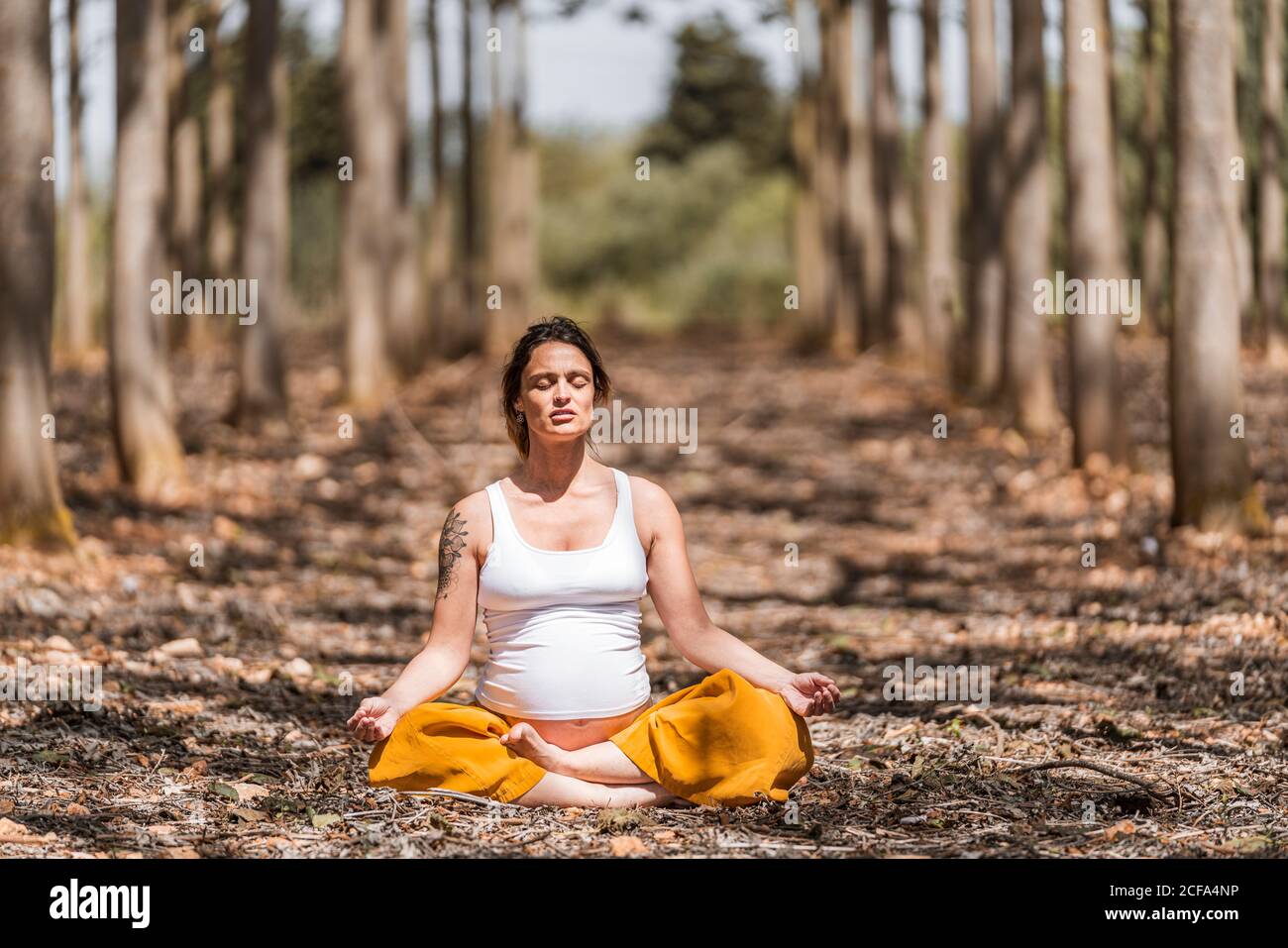 Barefooted serein adulte expectant mère avec les yeux fermés en blanc chemise et pantalon jaune assis dans la posture et la méditation pamasana tout en pratiquant le yoga sur le sol en glade parmi les arbres dans forêt pendant la journée ensoleillée Banque D'Images