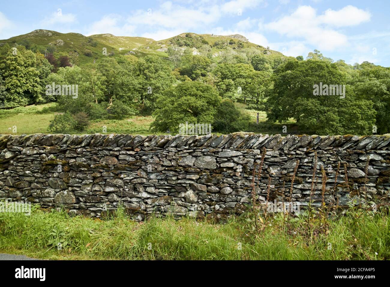 un mur de pierre sec autour du champ sous le lac lughrigg est tombé parc national de district cumbria angleterre royaume-uni Banque D'Images