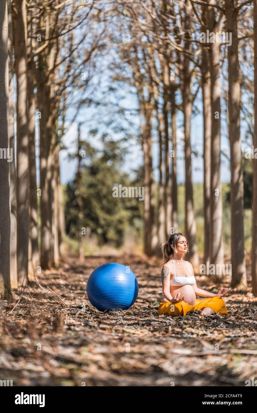 Femme enceinte adulte sereine méditant en étant assise sur le sol au milieu des arbres dans le parc pendant la journée ensoleillée Banque D'Images