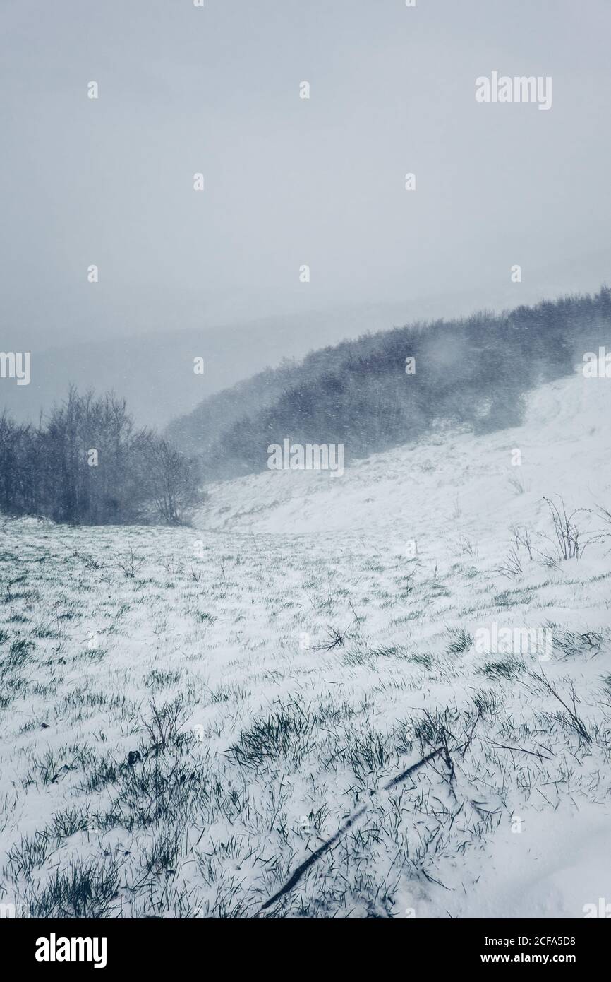 Paysage brumeux d'hiver de prairies avec de l'herbe couverte de neige et des collines avec des arbres dans le ciel sombre jour avec tempête de neige et ciel gris Banque D'Images