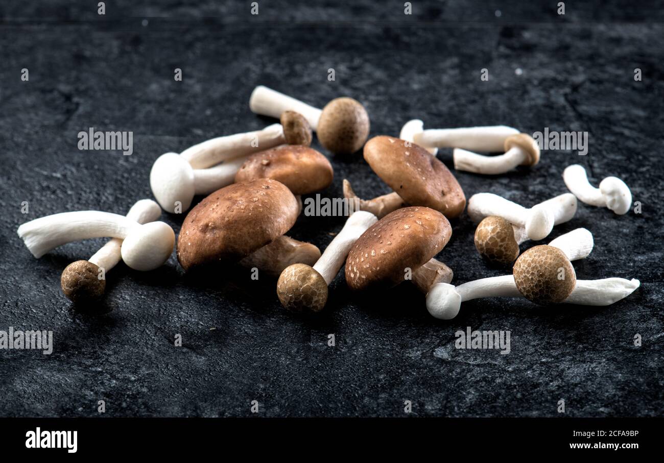 Angle élevé de petite pile de champignons Champignon entiers crus avec des chapeaux blancs et bruns sur une table en marbre noir Banque D'Images