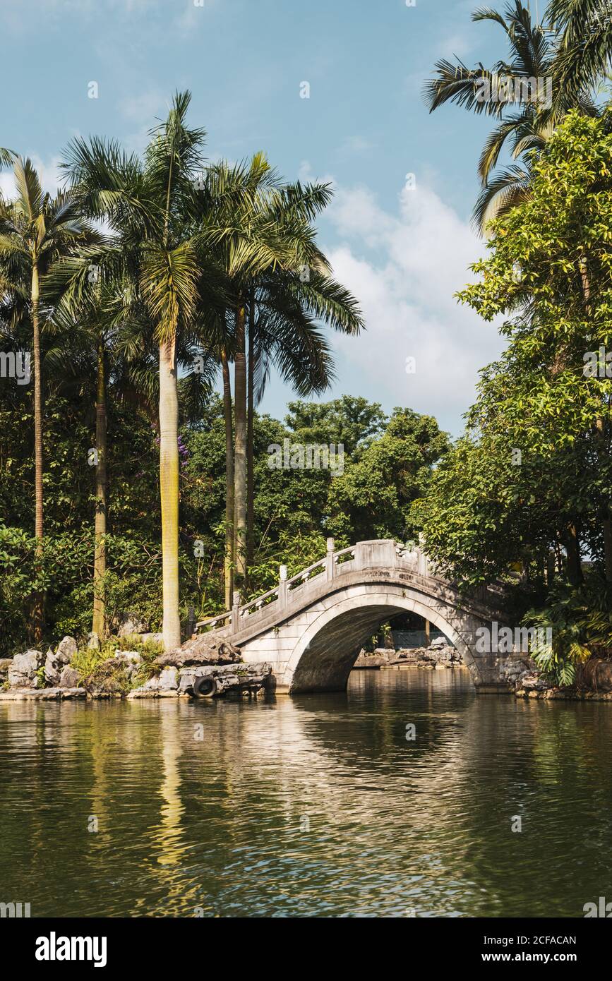 Magnifique paysage d'étang et pont en pierre avec palmiers et végétation exotique au soleil, montagne Qingxiu, Chine Banque D'Images