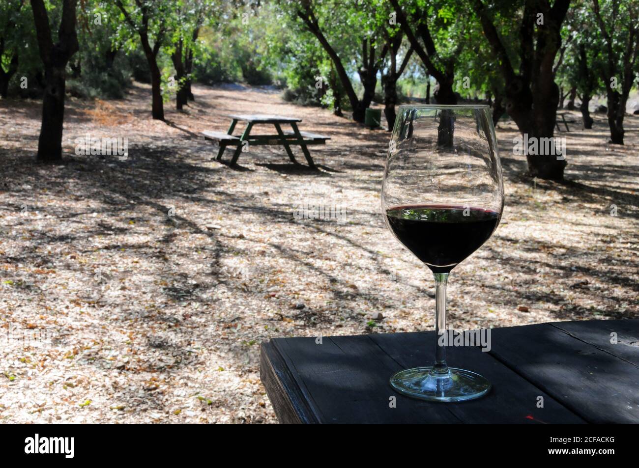 Aire de pique-nique dans la nature avec table et verre de vin Banque D'Images