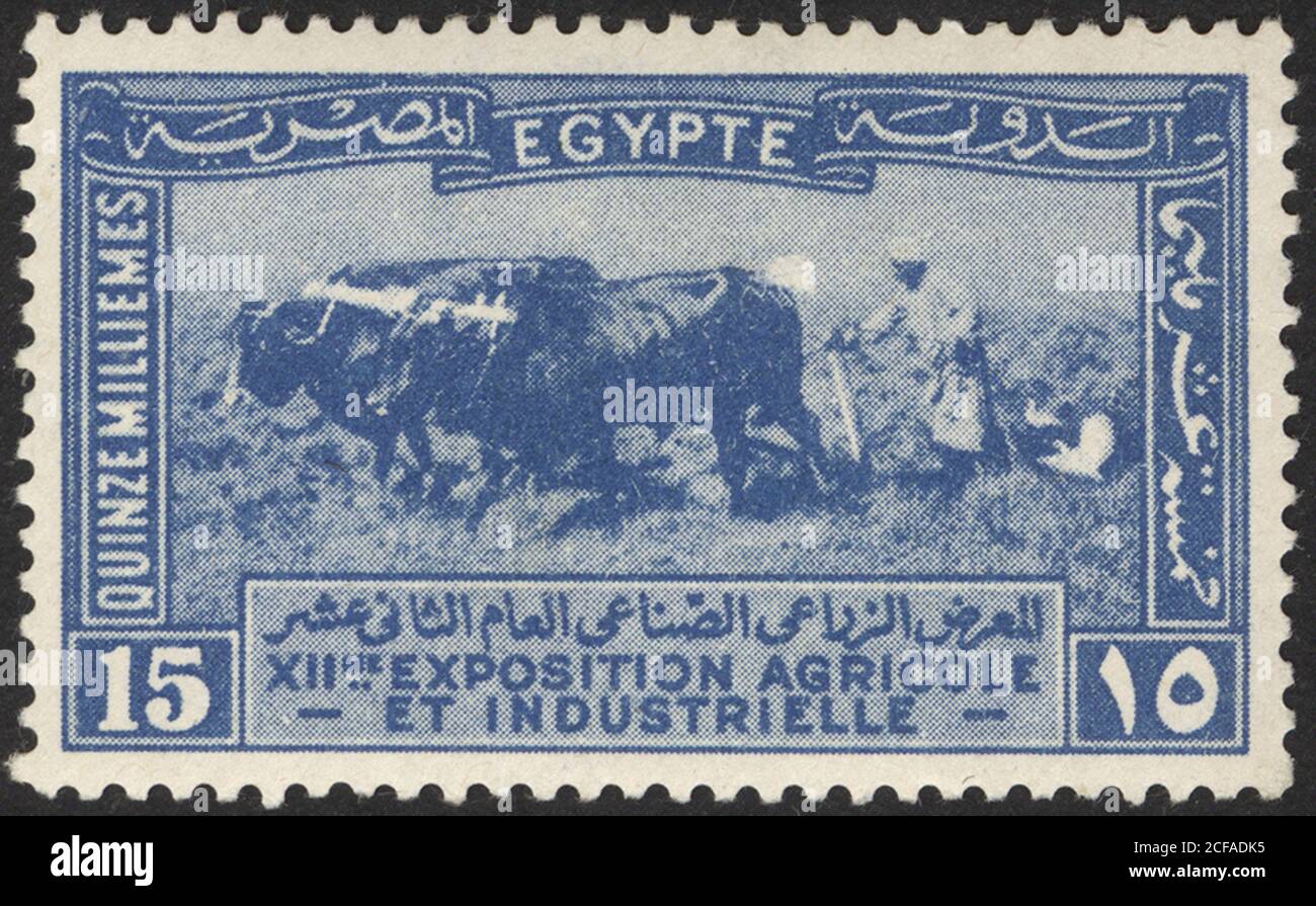 Timbres-poste de l'Égypte. Timbre imprimé en Égypte. Timbre imprimé par l'Égypte. Banque D'Images