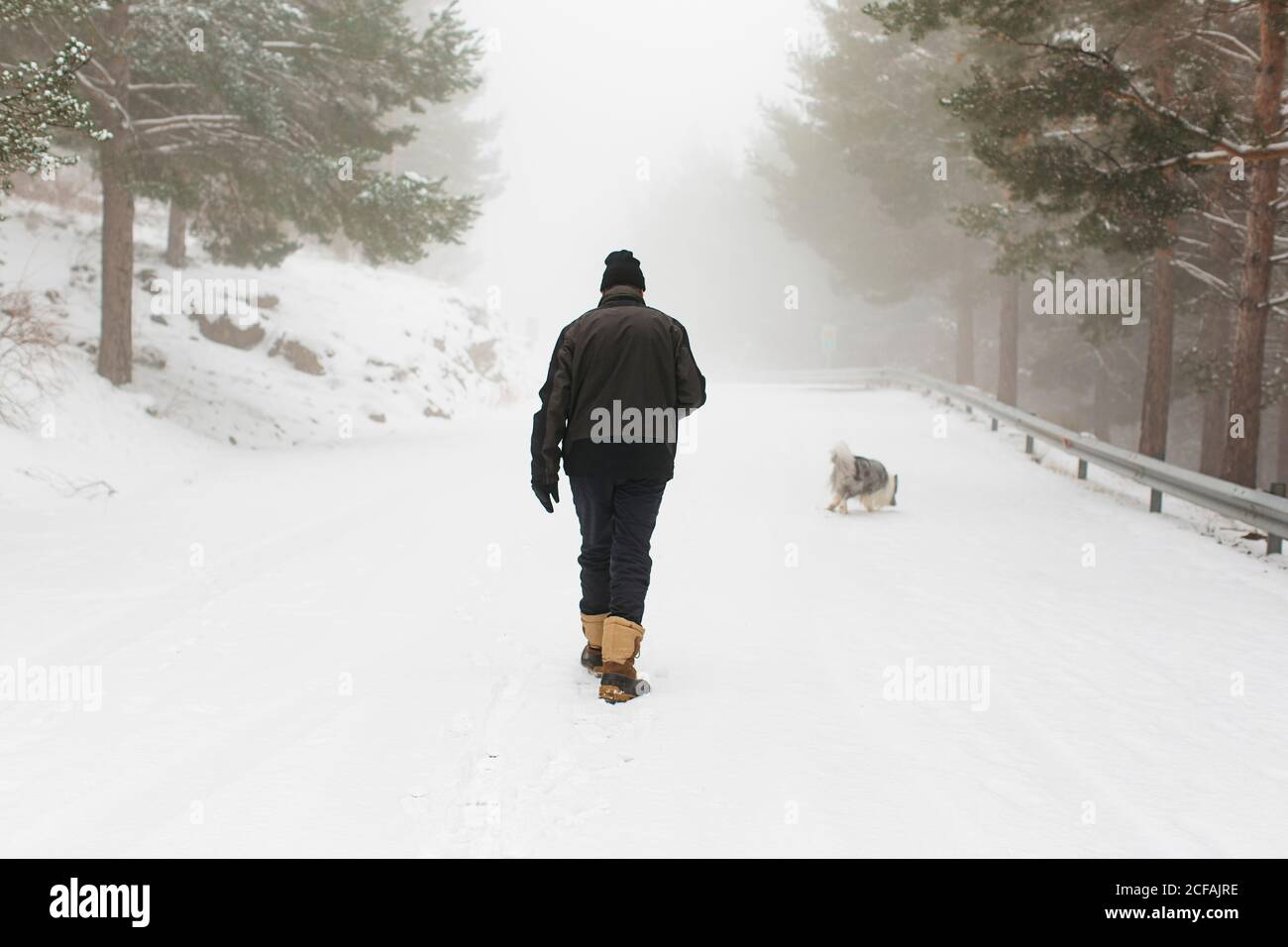 homme âgé méconnu et son chien marchant dans la neige avec brouillard Banque D'Images