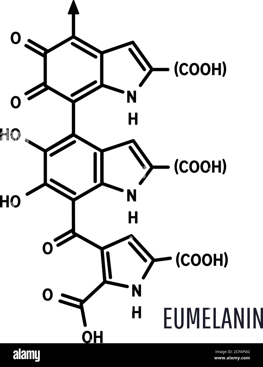 Structure chimique de la molécule d'eumélanin sur fond blanc Illustration de Vecteur