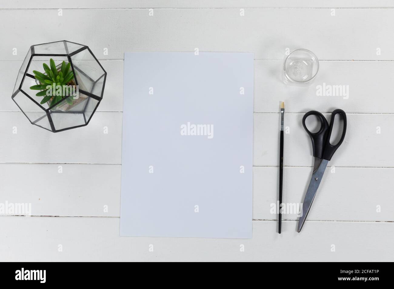 Vue d'une feuille de papier blanc, d'un pinceau et de ciseaux avec une plante verte sur fond blanc Uni Banque D'Images